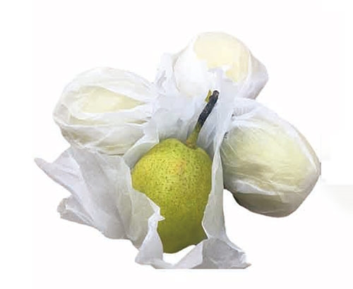 custom print tissue paper.jpg